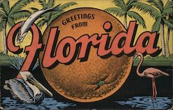 Greetings from Florida Postcard Postcard Postcard