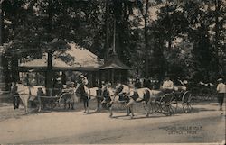 Ponies-Belle Isle Postcard