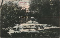 Cascade Creek Postcard