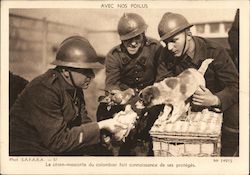 Le Chien-Mascotte du Colombier Fait Connaissance de ses Protégés France Postcard Postcard Postcard