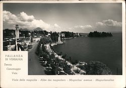 Pallanza di Verbania Postcard