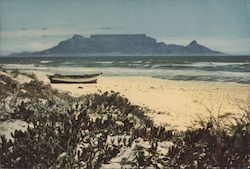 Abbott Dear Doctor Table Mountain Cape Town, South Africa Postcard Postcard Postcard