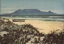 Abbot Dear Doctor Table Mountain Cape Town, South Africa Postcard Postcard Postcard