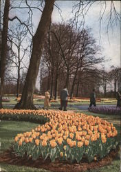 Abbott Dear Doctor Keukenhof Postcard