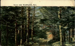 Scene near Washington Postcard