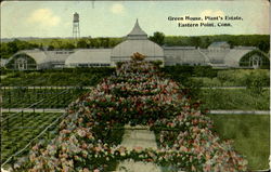 Green House, Plant's Estate Postcard