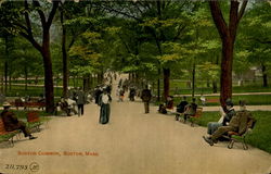 Boston Common Massachusetts Postcard Postcard