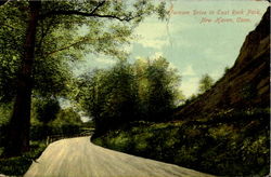 Farnam Drivein East Rock Park Postcard