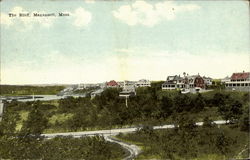 The Bluff Postcard