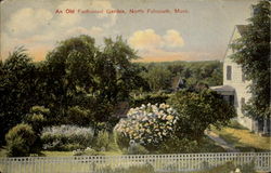 An Old Fashioned Garden Postcard