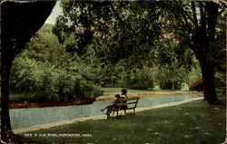 View In Elm Park Worcester, MA Postcard Postcard