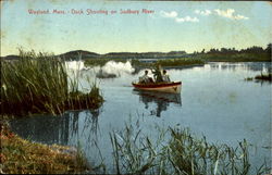 Dock Shooting On Sudbury River Postcard