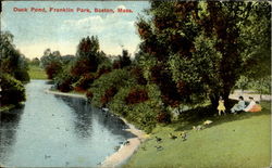 Duck Park, Franklin Park Boston, MA Postcard Postcard