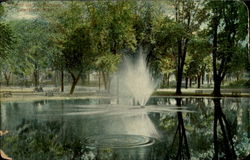 Pond on the Common Postcard