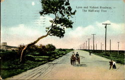 Lynn and Nahant Roadway, - The half-way tree Postcard