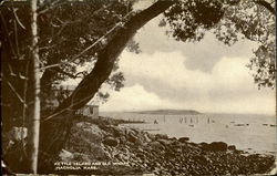 Kettle Island And Old Wharf Postcard