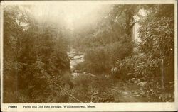 From The Old Red Bridge Williamstown, MA Postcard Postcard