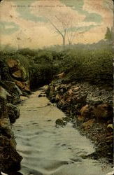 The Brook, Buzzy Hill Jamaica Plain, MA Postcard Postcard