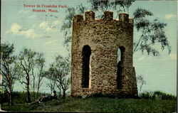 Tower In Franklin Park Postcard