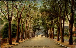 Hawthorn St Postcard