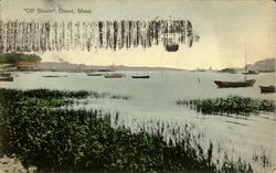 Off Shore Postcard