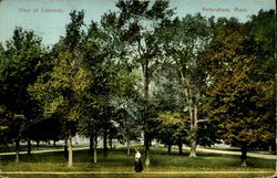 View of Common Petersham, MA Postcard Postcard