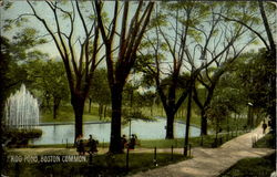 Frog Pond, Boston Common. Massachusetts Postcard Postcard