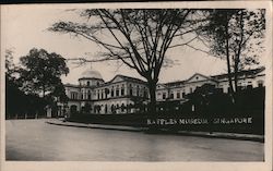 Raffles Museum Singapore, Singapore Southeast Asia Postcard Postcard Postcard