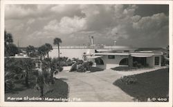 Marine Studios Postcard