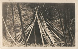 Lean-to Made of Branches Postcard