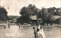 Newport Beach, Portage Lake Pinckney, MI Postcard Postcard Postcard