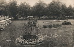 A Scene in Ely Park Hartford, MI C. R. Childs Photogra´h Postcard Postcard Postcard