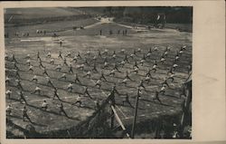 Military drill exercises in field Postcard