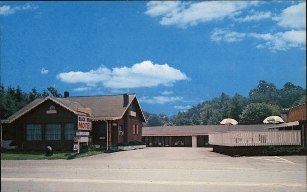 Black Bear Motel Boone, NC Jac Mayeux Postcard