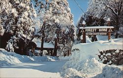 Forest Home Among Snow in San Bernardino Mountains Postcard