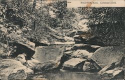 Coleman's Dell Baldwin, KS Postcard Postcard Postcard