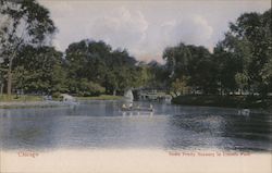 Pretty Scenery in Lincoln Par Postcard