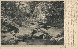 Coleman's Dell Postcard