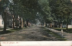 Looking Along Ohio Street Bangor, ME Postcard Postcard Postcard