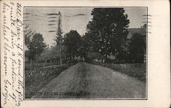 South Street Westerlo, NY Postcard Postcard Postcard