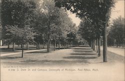 S. State St. and Campus, University of Michigan Postcard