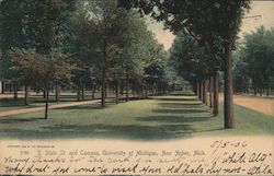 S. State St. and Campus, University of Michigan Postcard