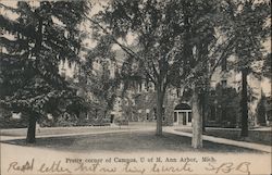 Pretty Corner of Campus, U of M Postcard