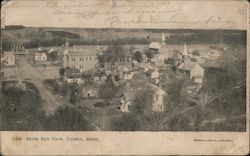 Bird’s Eye View, Delano, Minn Postcard