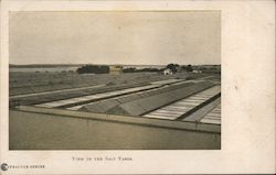 View in the Salt Yards Postcard