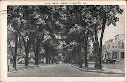 Park Avenue West Postcard