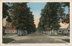 Lovers Lane Monroe, LA Postcard Postcard Postcard