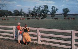 Blue Grass Farm Postcard