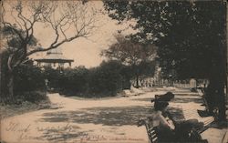 Public Garden Postcard