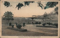 Impounding Reservoir Thomson Road Singapore Southeast Asia Postcard Postcard Postcard